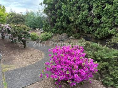 Main picture of 15502 NE Glisan St