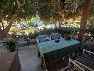 Main picture of 340 Orange Blossom