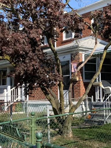 Main picture of 219 Orville Rd