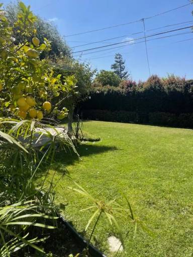 Main picture of 6506 W 84th St