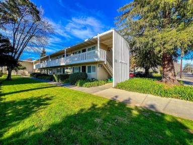 Main picture of 477 Seminary St