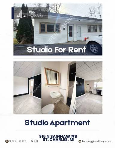 Main picture of 916 N Saginaw St