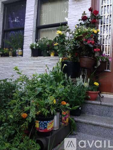 Main picture of 3147 93rd St