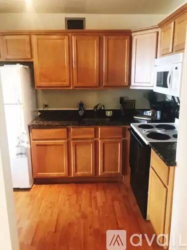Main picture of Lincoln Park Tower Condominium