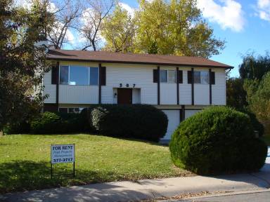 Main picture of 307 Bluebird Ct