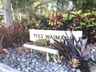 Main picture of 1133 Waimanu Condos