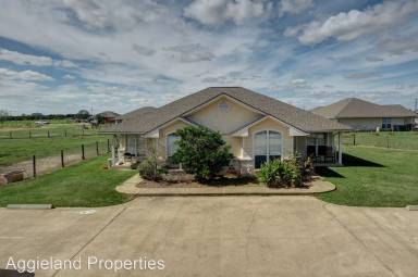 Main picture of Flying Ace Ranch