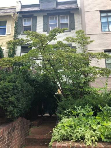 Main picture of 232 2nd St SE