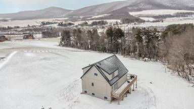 Main picture of 444 Blackberry St