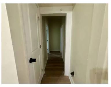Main picture of 24 Palmer St