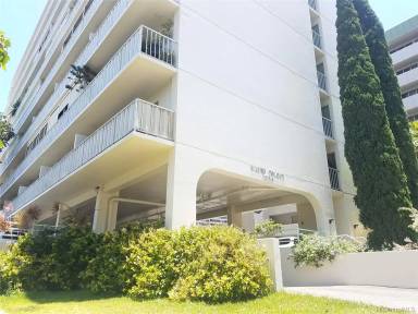 Main picture of Makiki Colony