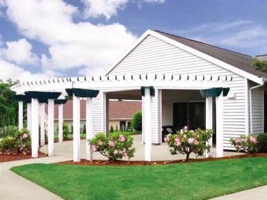 Main picture of Steeple Chase