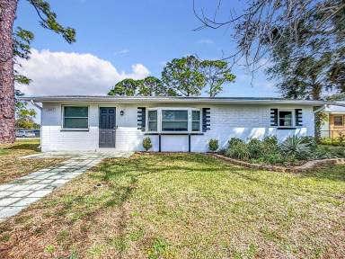 Main picture of 1607 India Palm Dr