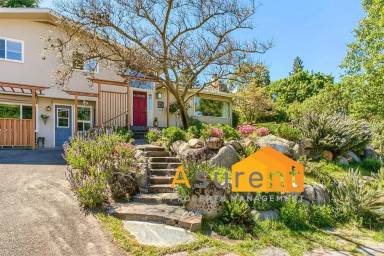 Main picture of 385 Guthrie St