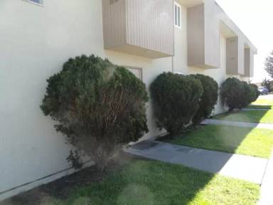 Main picture of 19 Lunsford Dr