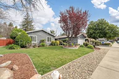 Main picture of 568 Banyan Cir