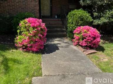 Main picture of 109 Mary Louise Ct