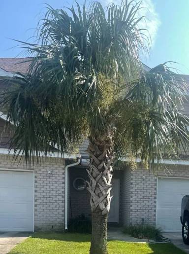 Main picture of 144 Rickey Ave