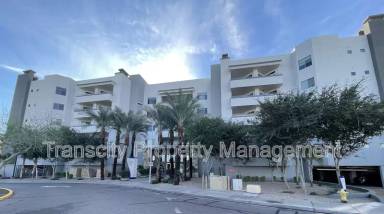 Main picture of North Shore