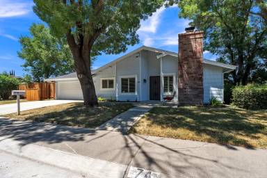 Main picture of 74 Cedro Cir