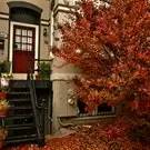 Main picture of 203 R St NW