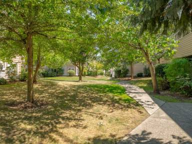 Main picture of Powell Court Apartments