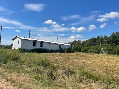 Main picture of 156 Dolphin Ln