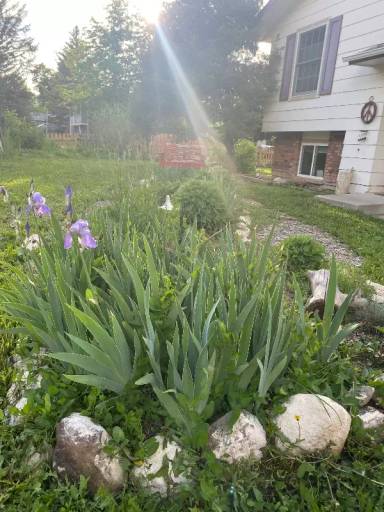 Main picture of 2524 W Plum St