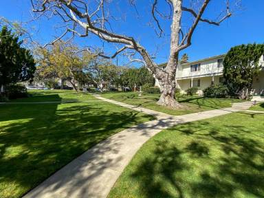 Main picture of 7400 1/2 Arizona Ave