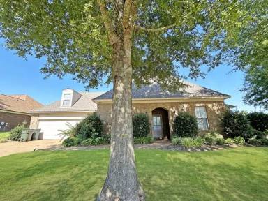 Main picture of 3471 Carolyn Xing