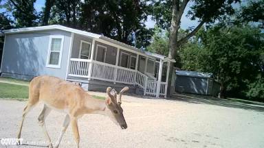 Main picture of 1210 Ferryboat Ln
