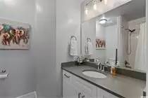 Main picture of Shadow Run