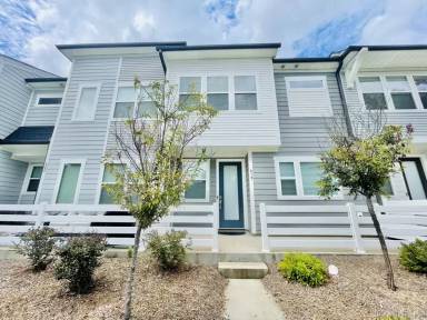 Main picture of 419 Vinroot Aly