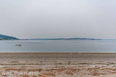 Main picture of 309 Snakelum Point Rd