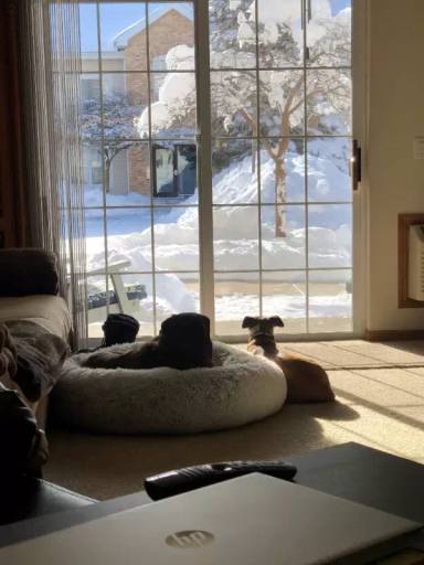 Main picture of Boulder Creek Apartments