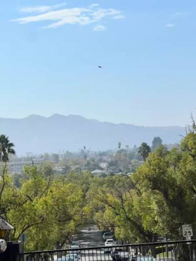 Main picture of Terrace View