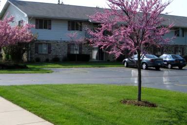 Main picture of 1406 91st St