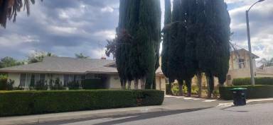 Main picture of 11525 Welebir St