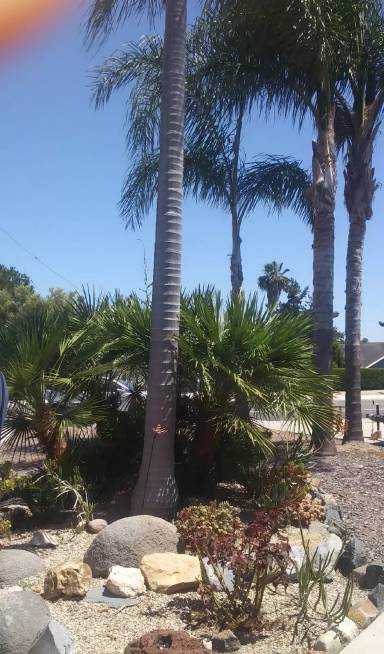 Main picture of 368 Grapevine Rd