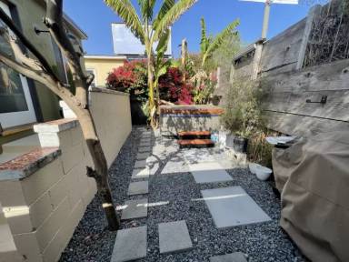 Main picture of 341 Rose Ave