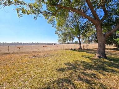 Main picture of 4211 Three Oaks Rd