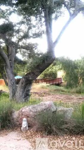 Main picture of 14519 Rios Canyon Rd