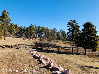 Main picture of 8700 Sheridan Lake Rd