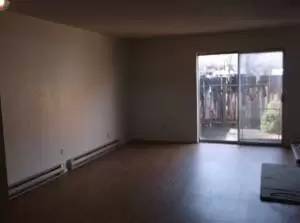 Main picture of 331 Collier Way