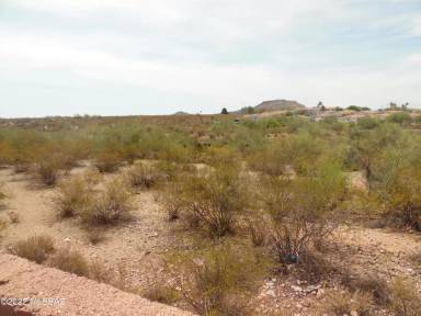 Main picture of 2143 W Calle Campana de Plata