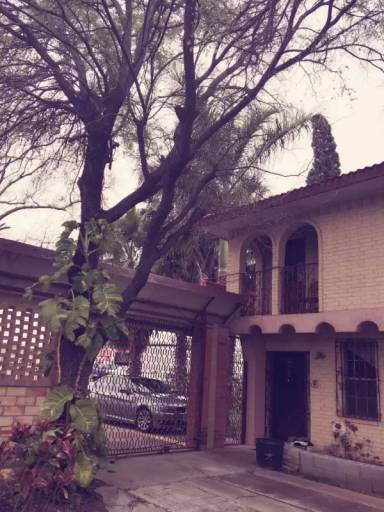 Main picture of 100 N Palm Dr