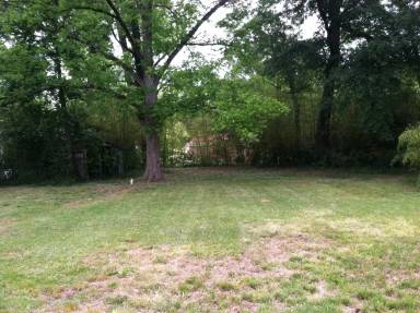 Main picture of 319 Brookwood Dr