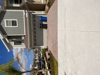 Main picture of 5787 Spotted Harrier Way