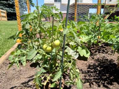 Main picture of 8848 W Jewell Ave