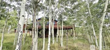 Main picture of 56 Sheep Ridge Rd